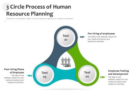 3 circle process of human resource planning
