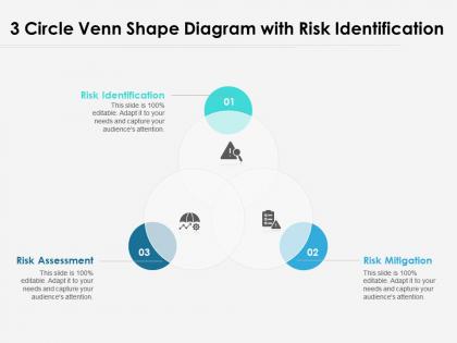 3 circle venn shape diagram with risk identification