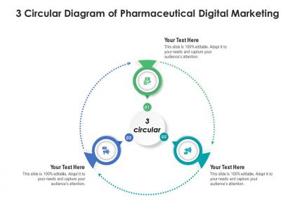 3 circular diagram of pharmaceutical digital marketing infographic template
