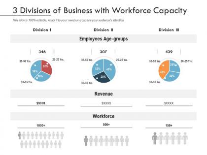 3 divisions of business with workforce capacity