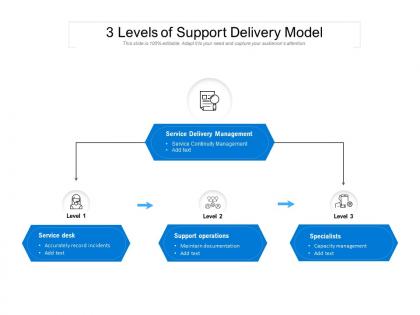 3 levels of support delivery model