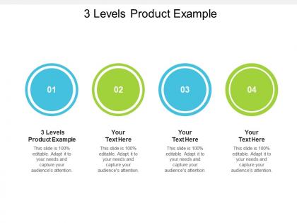 3 levels product example ppt powerpoint presentation slides example introduction cpb