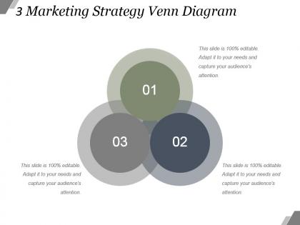 3 marketing strategy venn diagram example of ppt