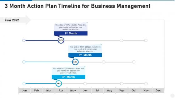 3 month action plan timeline for business management infographic template