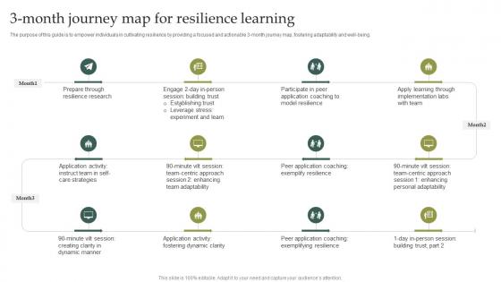 3 Month Journey Map For Resilience Learning