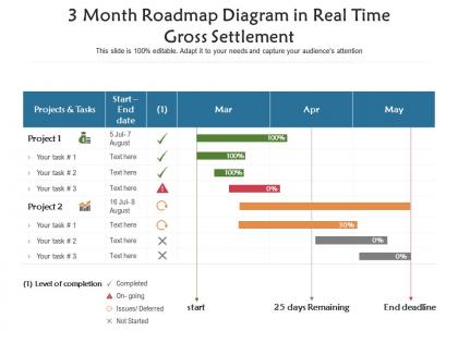 3 month roadmap diagram in real time gross settlement infographic template