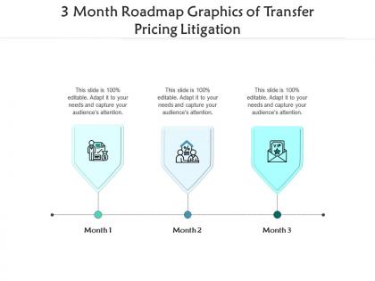 3 month roadmap graphics of transfer pricing litigation infographic template
