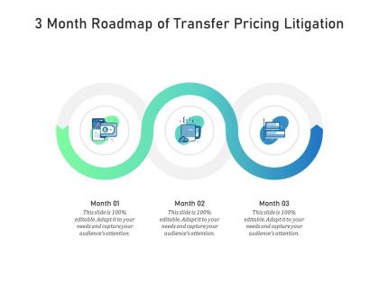 3 month roadmap of transfer pricing litigation infographic template