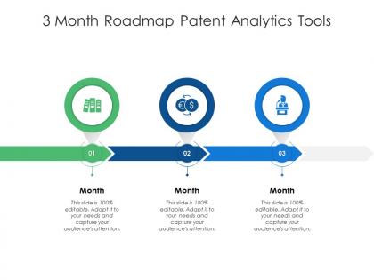 3 month roadmap patent analytics tools infographic template