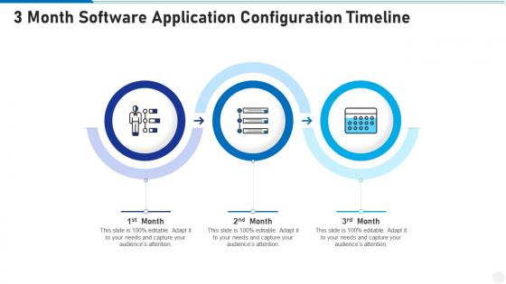 3 month software application configuration timeline infographic template