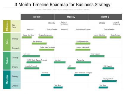 3 month timeline roadmap for business strategy