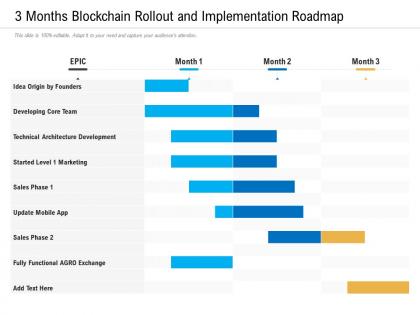 3 months blockchain rollout and implementation roadmap