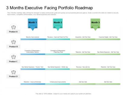 3 months executive facing portfolio roadmap timeline powerpoint template