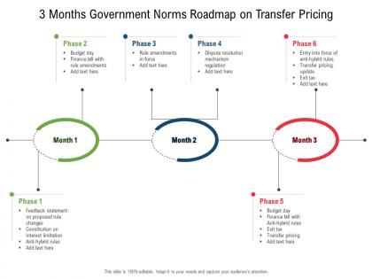 3 months government norms roadmap on transfer pricing