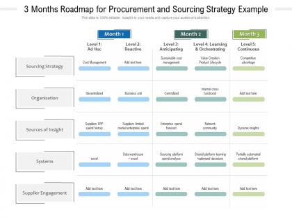 3 months roadmap for procurement and sourcing strategy example