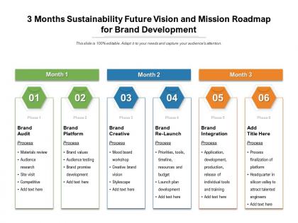 3 months sustainability future vision and mission roadmap for brand development