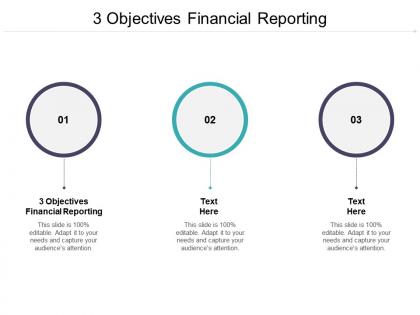 3 objectives financial reporting ppt powerpoint presentation professional good cpb