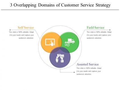 3 overlapping domains of customer service strategy 2 example of ppt