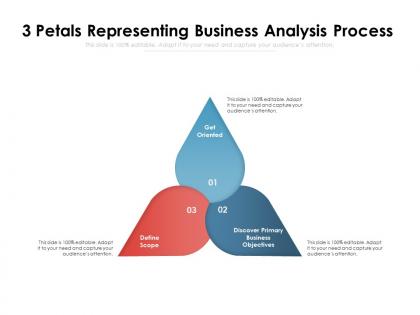 3 petals representing business analysis process