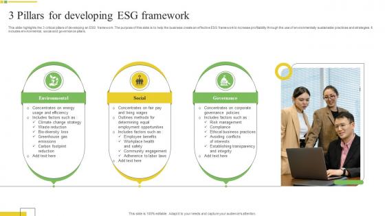3 Pillars For Developing Esg Framework