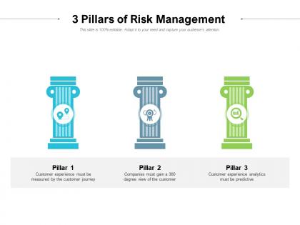 3 pillars of risk management