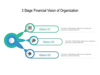3 stage financial vision of organization