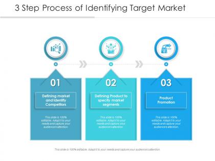 3 step process of identifying target market