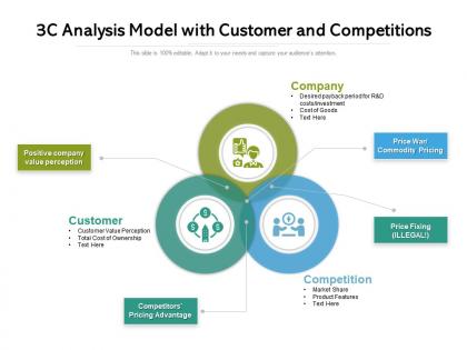 3c analysis model with customer and competitions