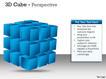 3d blue cube perspective ppt 1