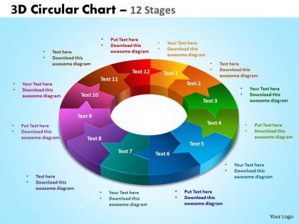 3d circular chart 12 stages