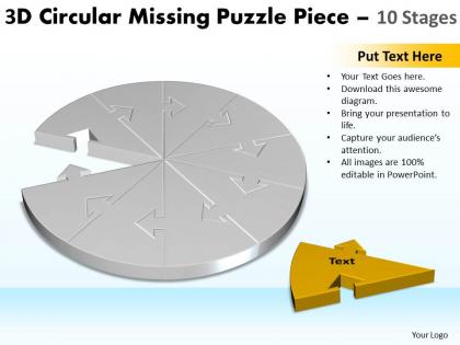 3d circular missing puzzle piece 10 stages 2