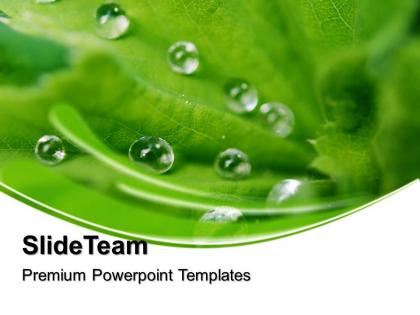 3d nature backgrounds powerpoint templates dew drops on leaves beauty image ppt slide