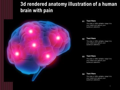 3d rendered anatomy illustration of a human brain with pain