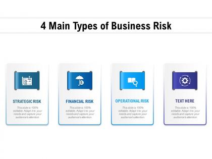 4 main types of business risk