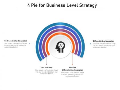 4 pie for business level strategy