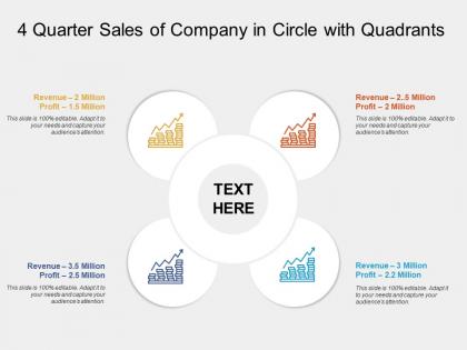 4 quarter sales of company in circle with quadrants
