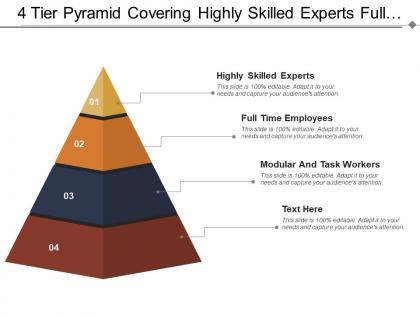 4 tier pyramid covering highly skilled experts full time employees and modular workers