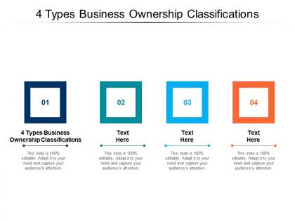 4 types business ownership classifications ppt powerpoint presentation styles good cpb