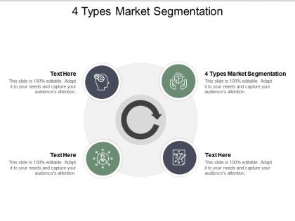4 types market segmentation ppt powerpoint presentation pictures cpb