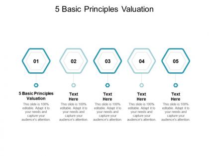 5 basic principles valuation ppt powerpoint presentation background images cpb