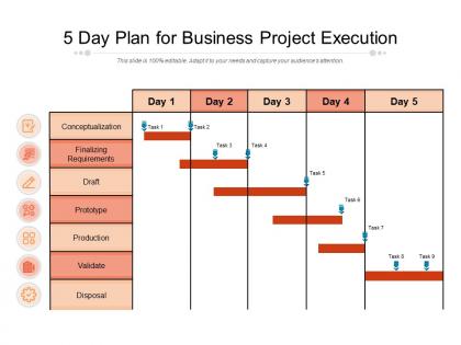 5 day plan for business project execution