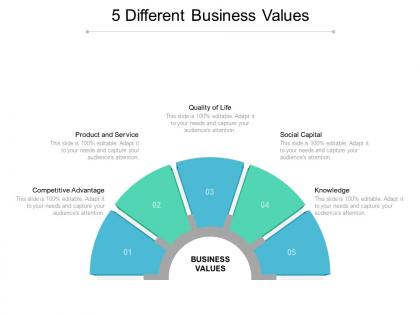 5 different business values
