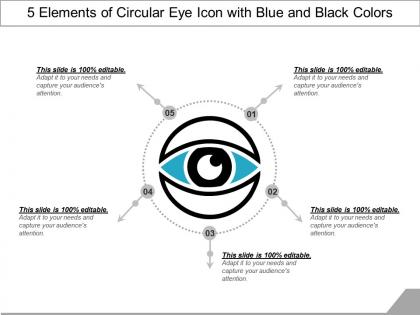 5 elements of circular eye icon with blue and black colors