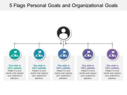 5 flags personal goals and organizational goals