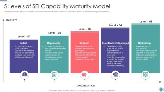 5 Levels Of Sei Capability Maturity Model Process Improvement Project Success