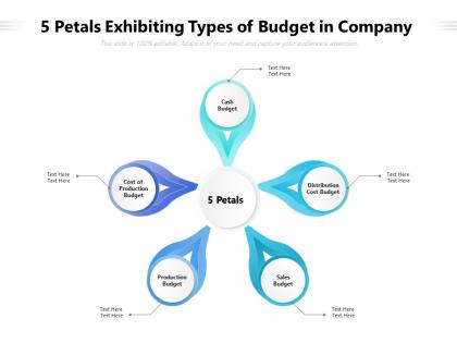5 petals exhibiting types of budget in company