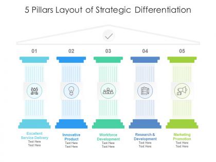 5 pillars layout of strategic differentiation