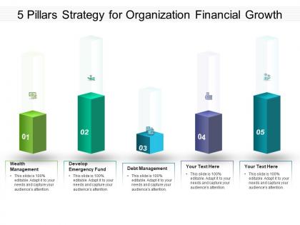5 pillars strategy for organization financial growth