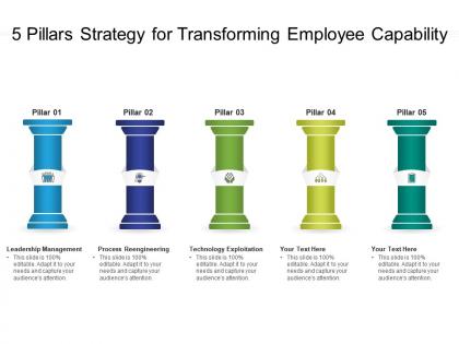 5 pillars strategy for transforming employee capability