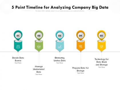 5 point timeline for analyzing company big data